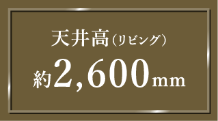 天井高（リビング）約2,900mm