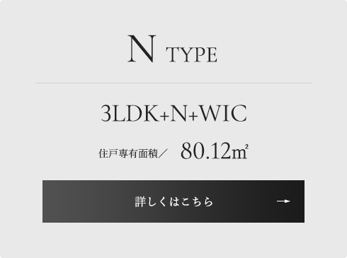 N TYPE